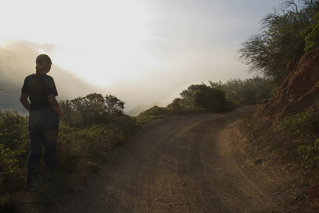 18709340312_06d0f9c772_z