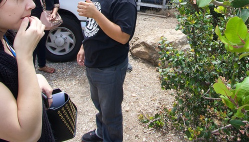 Photo credit: Steve Davis