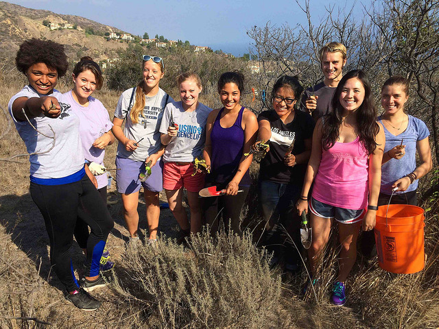 23114288661_118368b04e_z