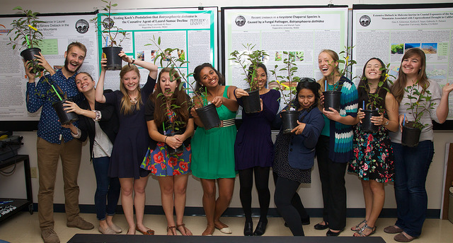 23731272416_d511fb83d4_z