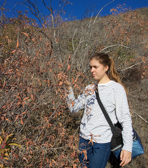 30617390453_47f5408d67_z